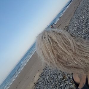 Profile Picture of Lisa Syer (@SyerLisa) on Twitter