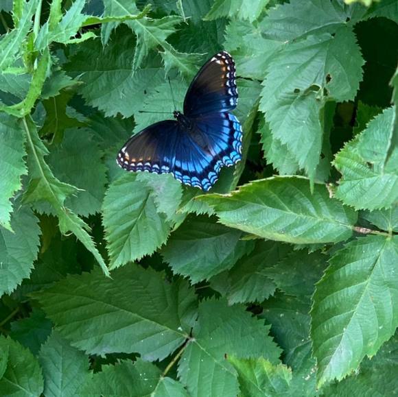 Profile Picture of Sandy Mathre (@lisbon3) on Poshmark