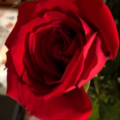 Profile Picture of Stacie Carter (@StacieC44627165) on Twitter