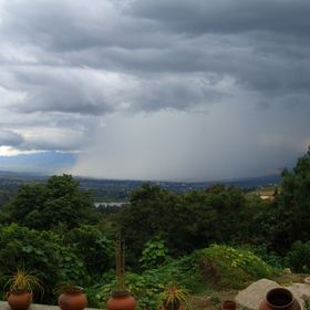 Profile Picture of Harper Jones (@harperj) on Pinterest