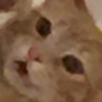 Profile Picture of Luke Bramble (@luke-bramble-4) on Quora