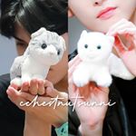 Profile Picture of 喜歡SF9金仁誠和柳太陽的女孩🧡 (@chestnutsunni) on Instagram