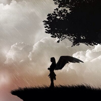 Profile Picture of Shelley (@shelley_wise) on Twitter
