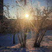 Profile Picture of Mahomar (@Mahomar_0) on Youtube