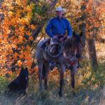 Profile Picture of Brent Bearden (@inthesaddleadventures) on Instagram
