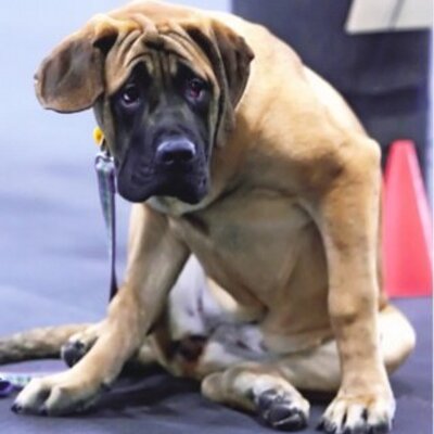 Profile Picture of Lando Griffin (@BrianMaxwell38) on Twitter