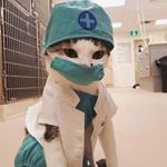 Gaona Max - Instagram Profile Picture of Gaona Max (@gaonamax_) on Instagram