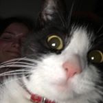 Profile Picture of Emilia Assimakis (@emiliaassimakis) on Instagram