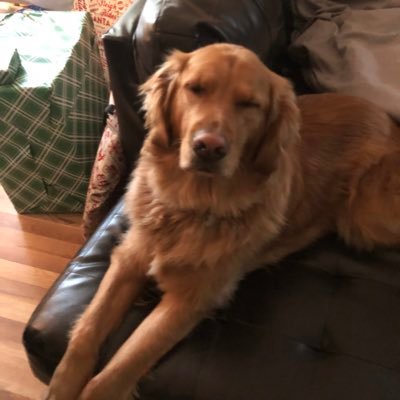 Profile Picture of Shannon Mulvihill (@ShannonMulvihi5) on Twitter