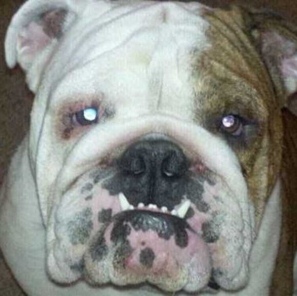 Profile Picture of Tanya Davey-carlson (@tlcarlson077) on Poshmark