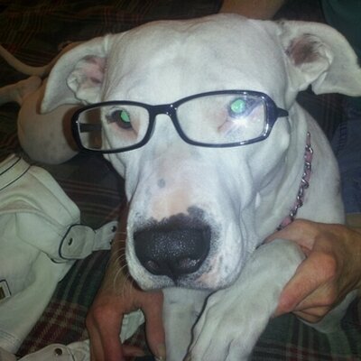 Profile Picture of Robert Ladd (@misterplow69) on Twitter