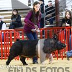 Profile Picture of Kerri McMahon (@kmctxaggie) on Instagram