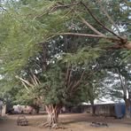 Profile Picture of Malcolm Grundy (@Malcolm-Grundy) on Facebook