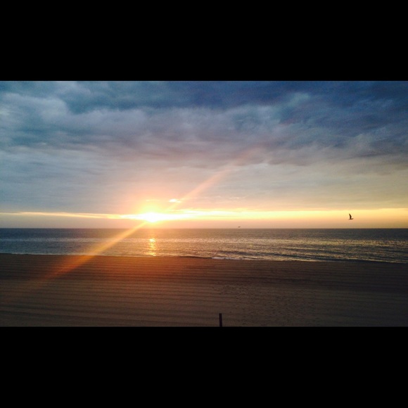 Profile Picture of Bree Rogers (@daisyray422) on Poshmark