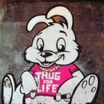 Profile Picture of Jason rabbit (@peter_rabbit02) on Instagram