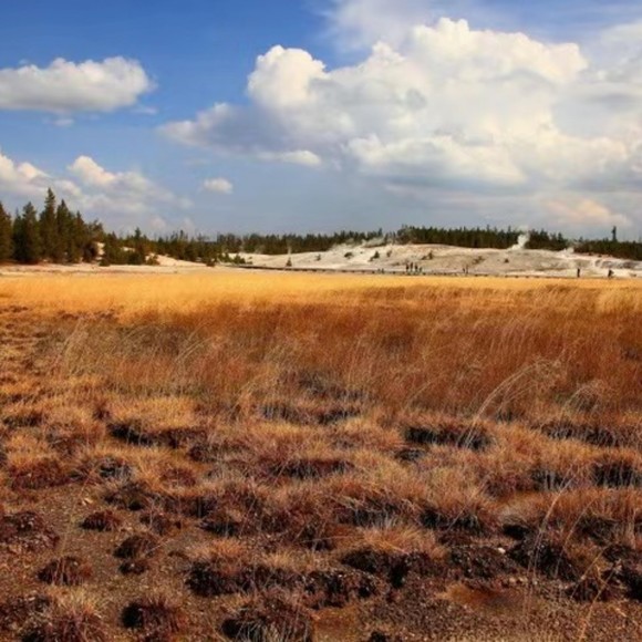 Profile Picture of David Altman (@waltersxcdahh) on Poshmark