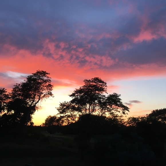 Profile Picture of Brianna Horowitz (@briannahorowitz) on Poshmark