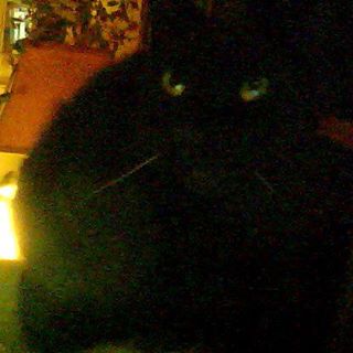 Profile Picture of Bradley Baines (@bradley.baines.7) on Facebook