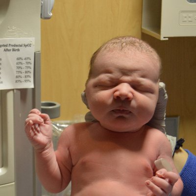 Profile Picture of Ed Ketcham (@huskered2) on Twitter