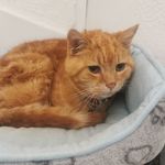 Profile Picture of Kate Morrell (@katemorrell2021) on Instagram