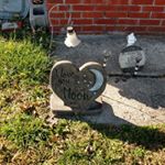 George Hilliard - Instagram Profile Picture of George Hilliard (@hilliardg55) on Instagram