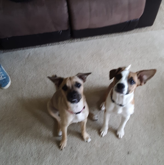 Profile Picture of Laura Tyger (@autumn200278) on Poshmark