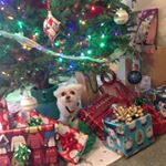 Profile Picture of Bobbie Overton (@bobbielynn99) on Instagram