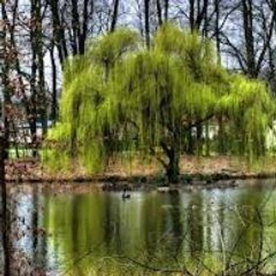 Profile Picture of James VanDerWolde (@isaacvdw3) on Twitter