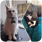 Profile Picture of Toni Lee J Shaw (@Toni-Lee-J-Shaw) on Facebook