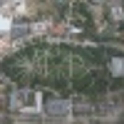 Profile Picture of Timothy Wait (@timothywait) on Twitter