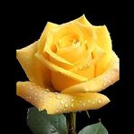 Profile Picture of Charley Dusty (@belinda.dann.9) on Facebook