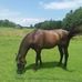 Profile Picture of Neal Applegate (@neal.applegate.1) on Facebook