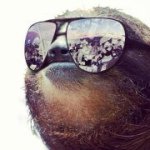 Profile Picture of Sean Strickland (@amazinraysin) on Instagram