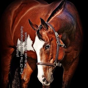 Profile Picture of Liz Long (@lizzardskynyrd) on Myspace