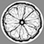 Profile Picture of Carlos Rubio (@dirtyculture) on Flickr