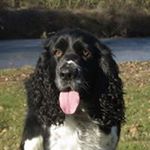 Profile Picture of Anne Pilon (@anne.pilon.790) on Instagram