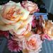 Profile Picture of DF JACOBS (@davinajacobs) on Pinterest