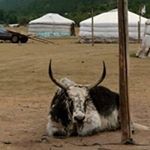 Profile Picture of Michael Turrisi (@michaelturrisi) on Instagram