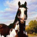 Profile Picture of a_brazell (@a_brazell) on Instagram