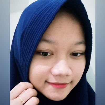 Profile Picture of Dina Lestari (@DinaLes52521144) on Twitter