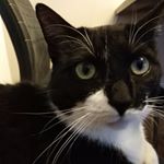Profile Picture of Dustin Schultz (@dustin.schultz.7731) on Instagram