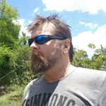 Profile Picture of Steve Farkas (@aardvark_steve) on Instagram