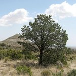 Profile Picture of Michael Pinon (@m_pinon1972) on Instagram