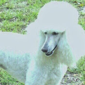 Profile Picture of Martha Reid (@reid3468) on Youtube