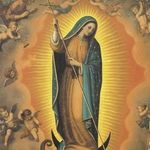 Profile Picture of Alex alejos (@alex_alejos34) on Instagram