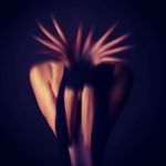 Profile Picture of John Wenzel (@jjwenzel_images) on Instagram