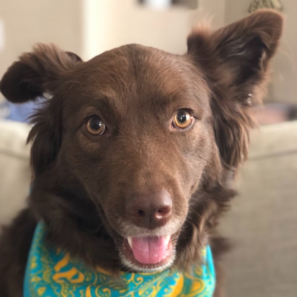 Daisy Flower - Poshmark Profile Picture of Daisy Flower (@daisyary) on Poshmark