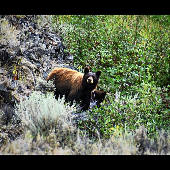 Profile Picture of Hillary Zerga (@hzerga) on Poshmark