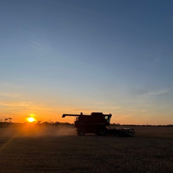 Profile Picture of Nicholas evans (@nicholas.evans46) on Tiktok
