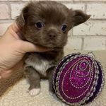 Profile Picture of Allison Jacobs (@mufftranopenprop165) on Instagram